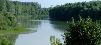 árad a Tisza